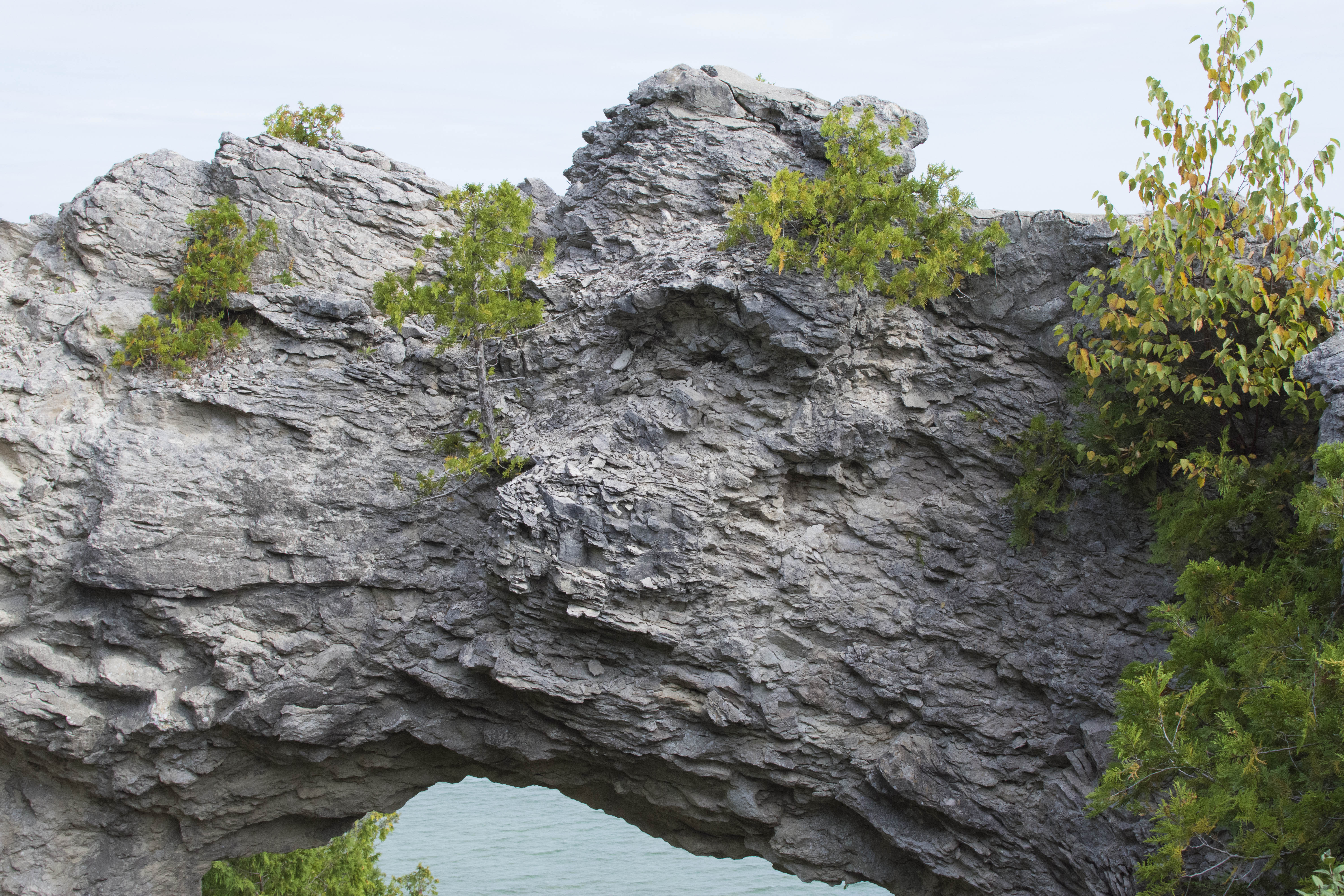 A large gray limestone arch formation with trees growing from the rock. Blue water is in the background.