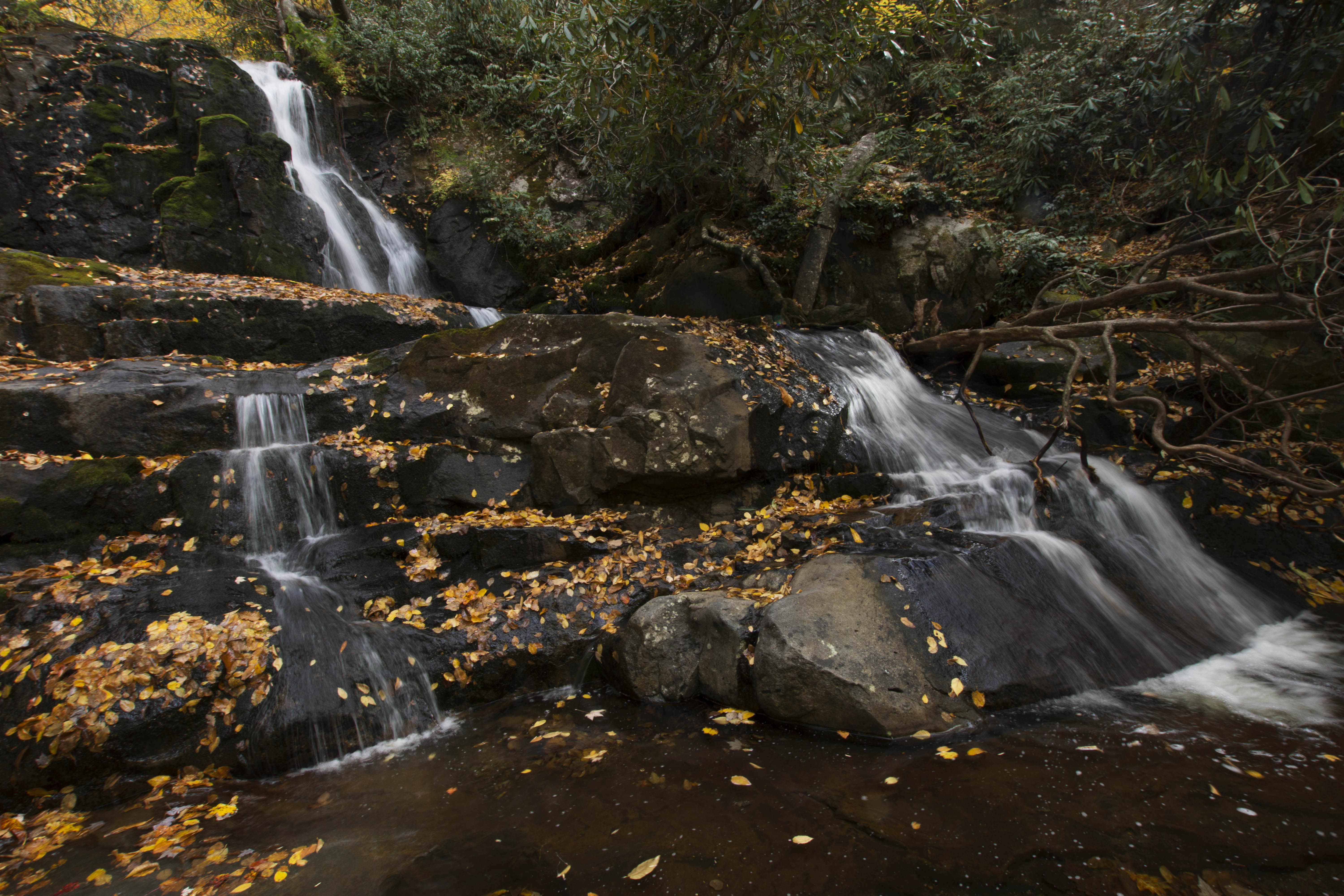 Laurel Falls -- a waterfall rushing over rocks, with fallen yellow leaves in and around the water